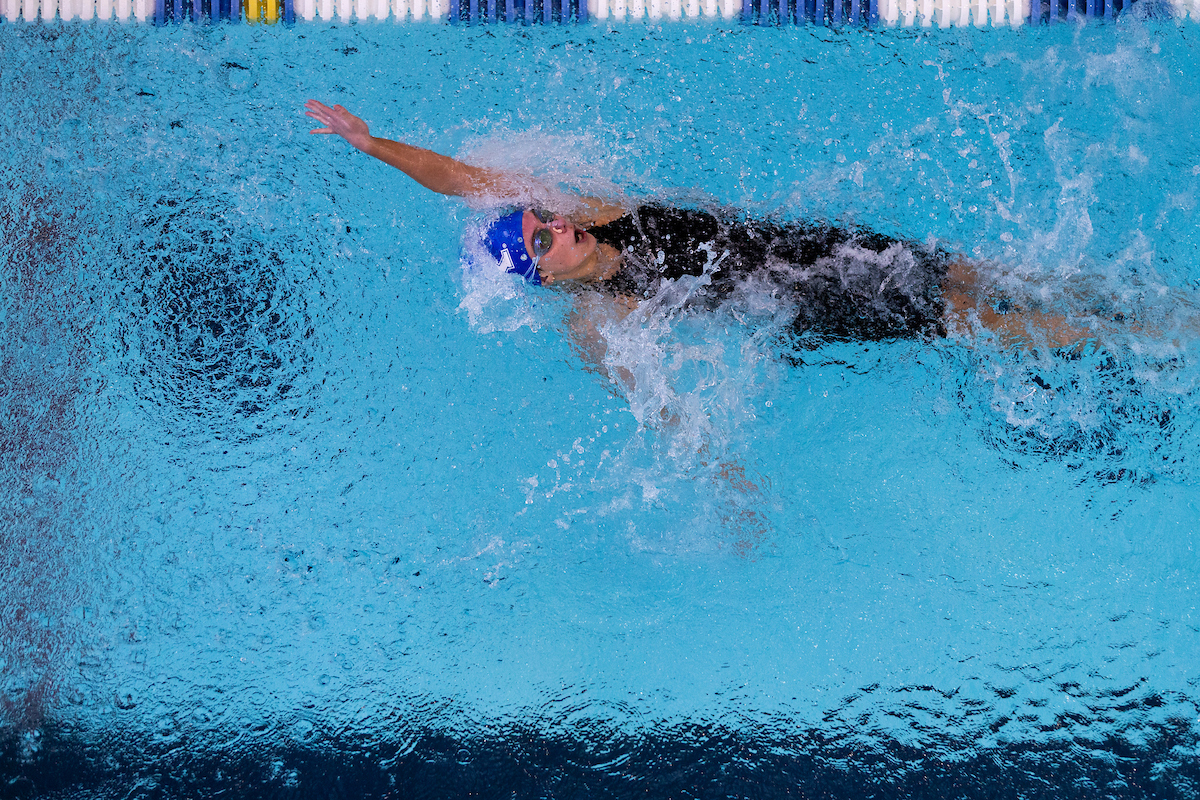 Kentucky Women's Swim/Dive beats Louisville
Kentucky Men's Swim/Dive fall to Louisville.

Photo by Sarah Caputi ?UK Athletics
