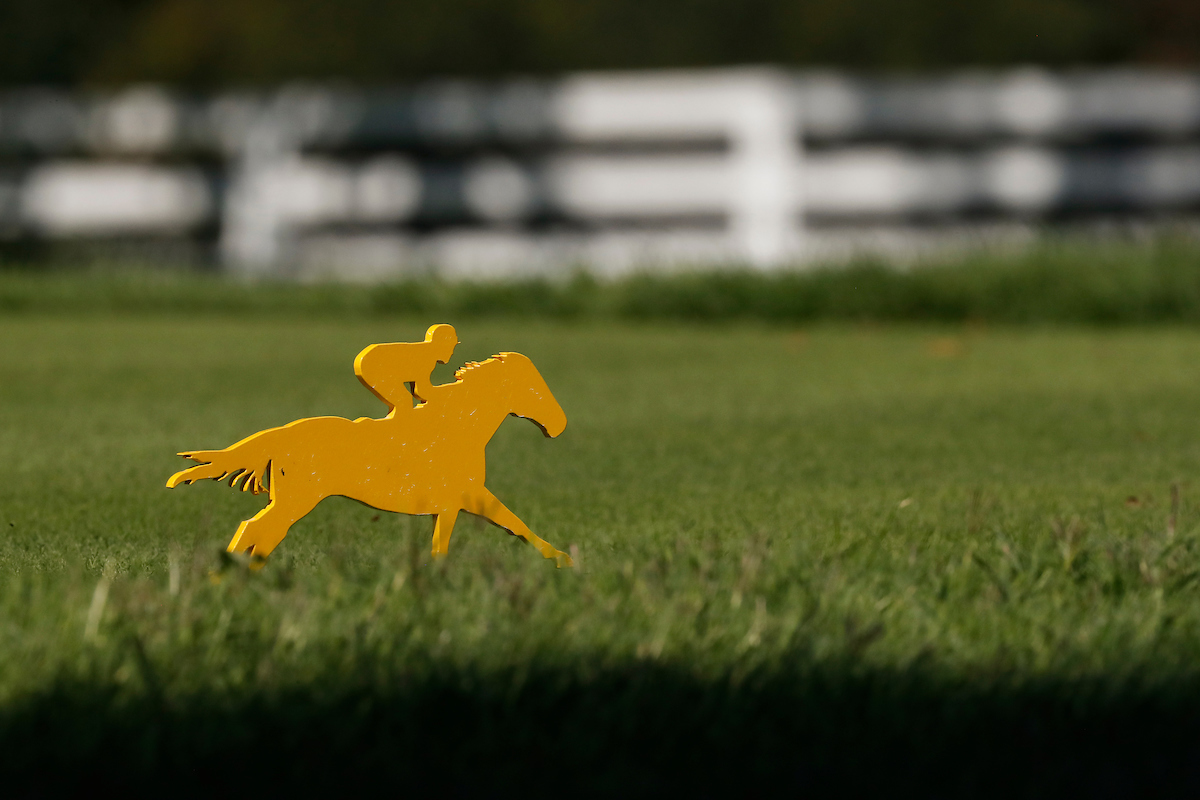 Women's golf practice.

Photo by Chet White | UK Athletics