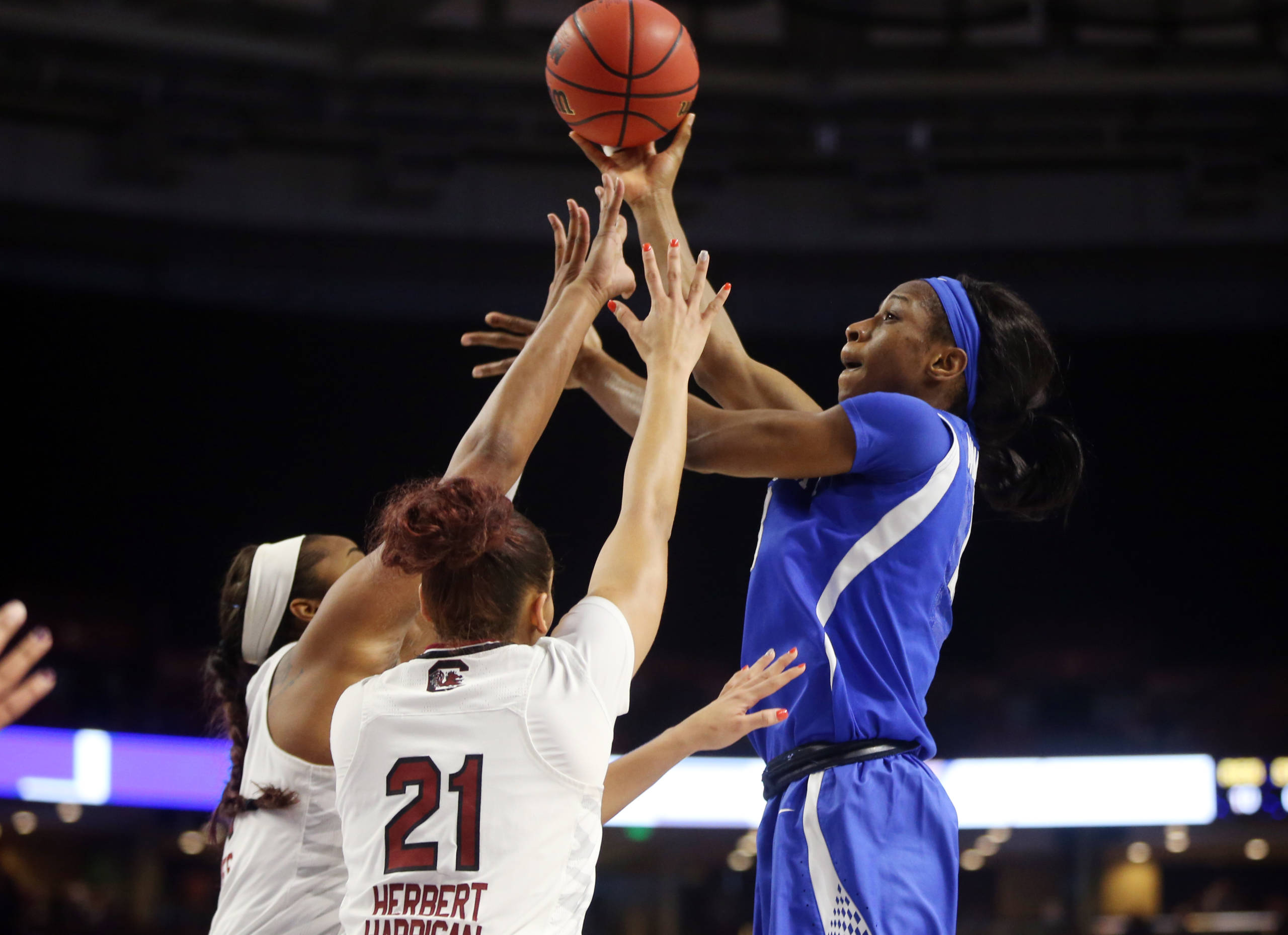 No. 20 Kentucky Comes Up Short Against No. 5 South Carolina