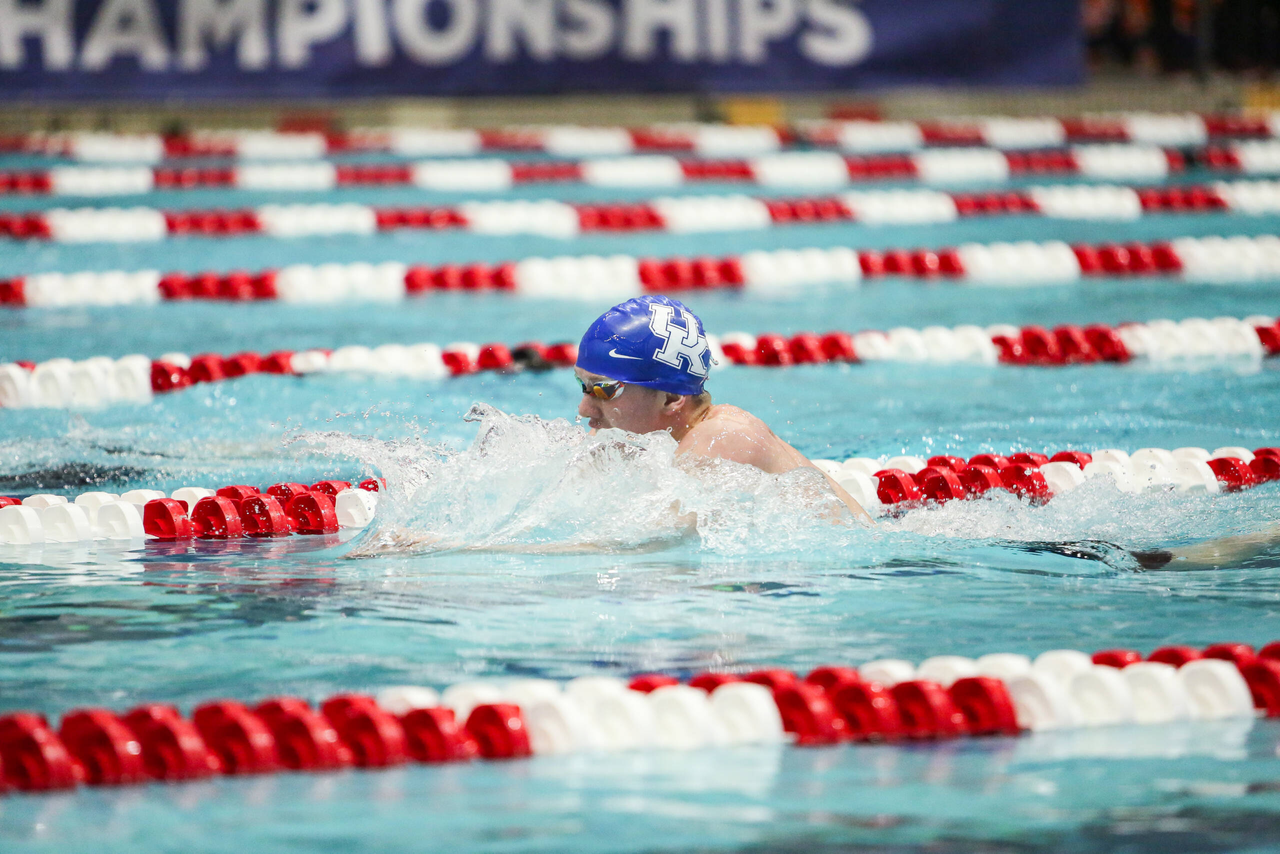 2019 SEC Swimming and Diving Championships