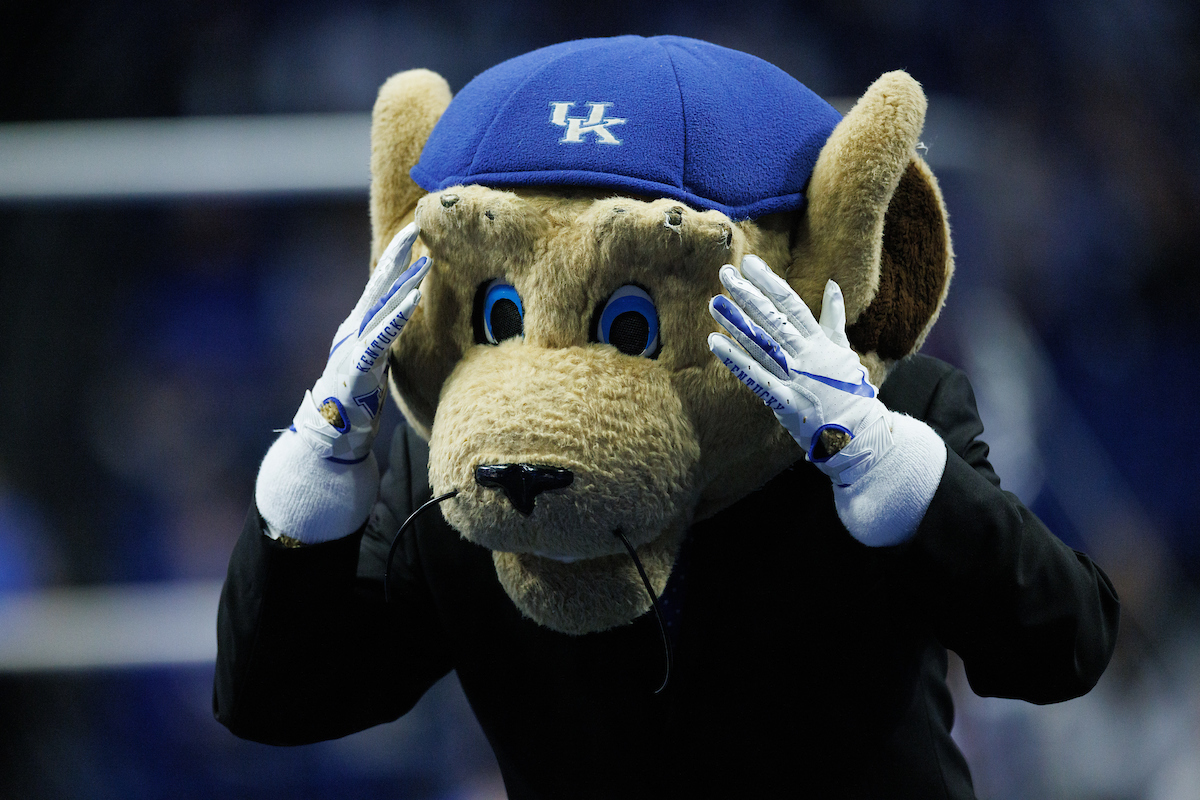 Wildcat.

Kentucky beats Ball State, 196.525-194.750.

Photo by Elliott Hess | UK Athletics