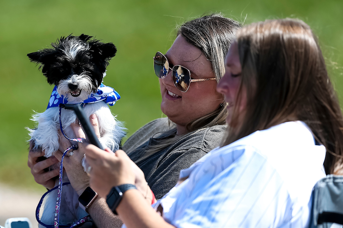 Bark in the Park.

UK falls to Mizzou 13-0.

Photo by Eddie Justice | UK Athletics