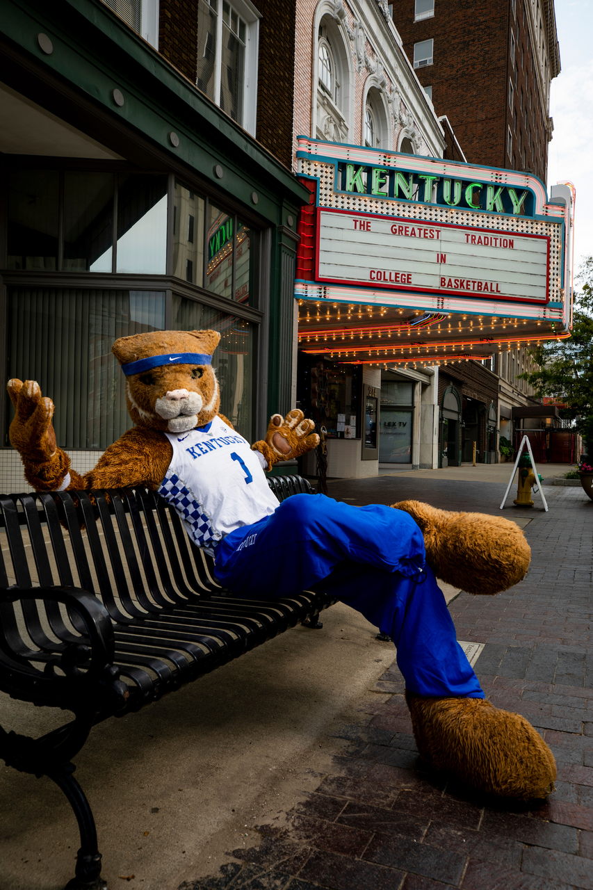 Wildcat.

UK menâ??s basketball photo shoot at the Kentucky Theater.

Photo by Chet White | UK Athletics
