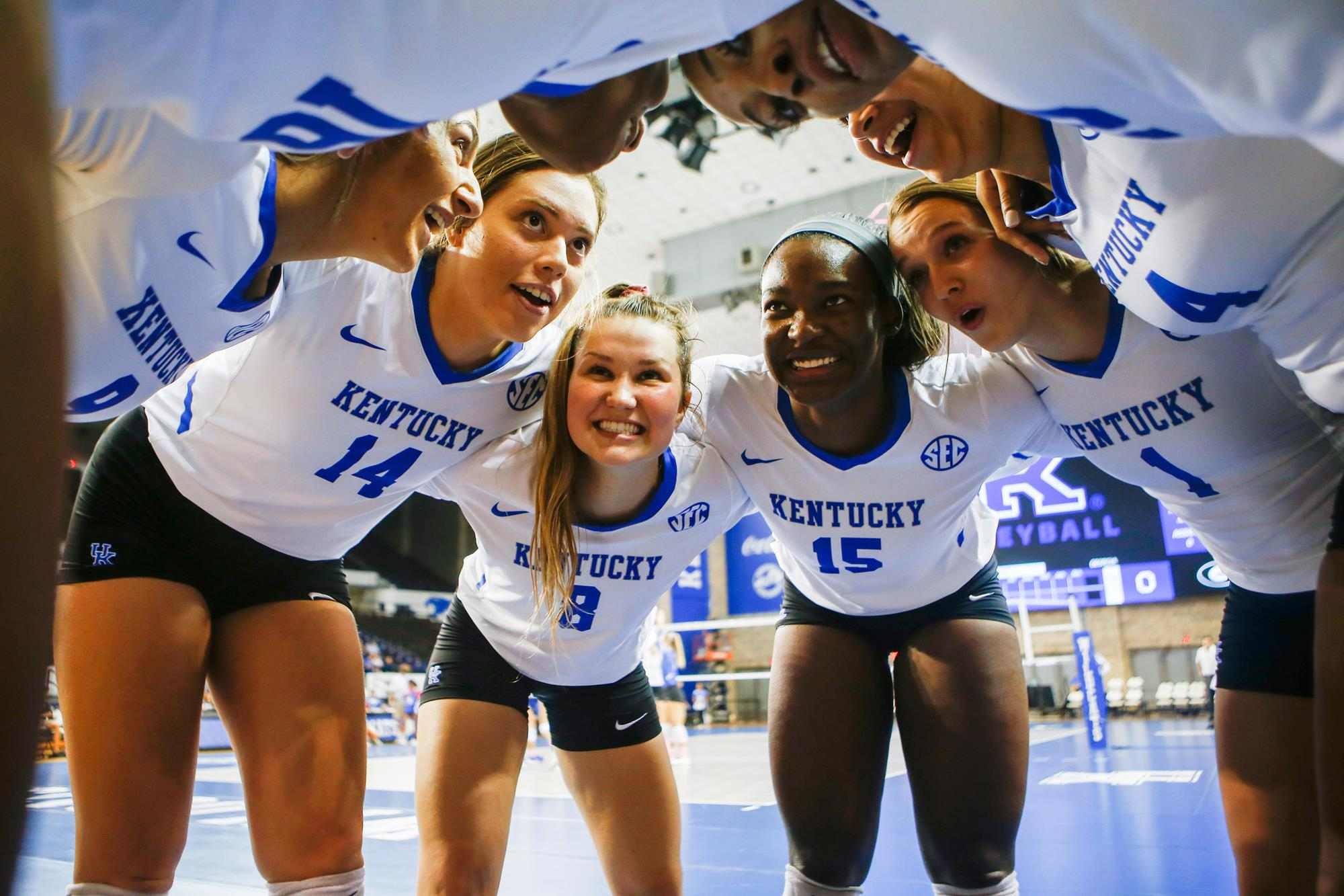 Curry and Scheitzach Propel No. 16 Kentucky Past Ole Miss in Four