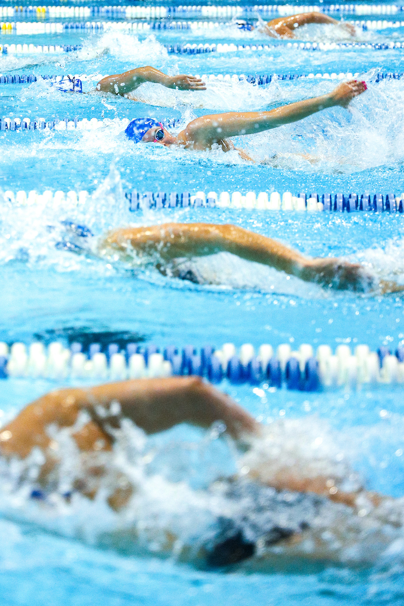 .

Kentucky Swim and Dive Blue and White meet.

Photo by Eddie Justice | UK Athletics