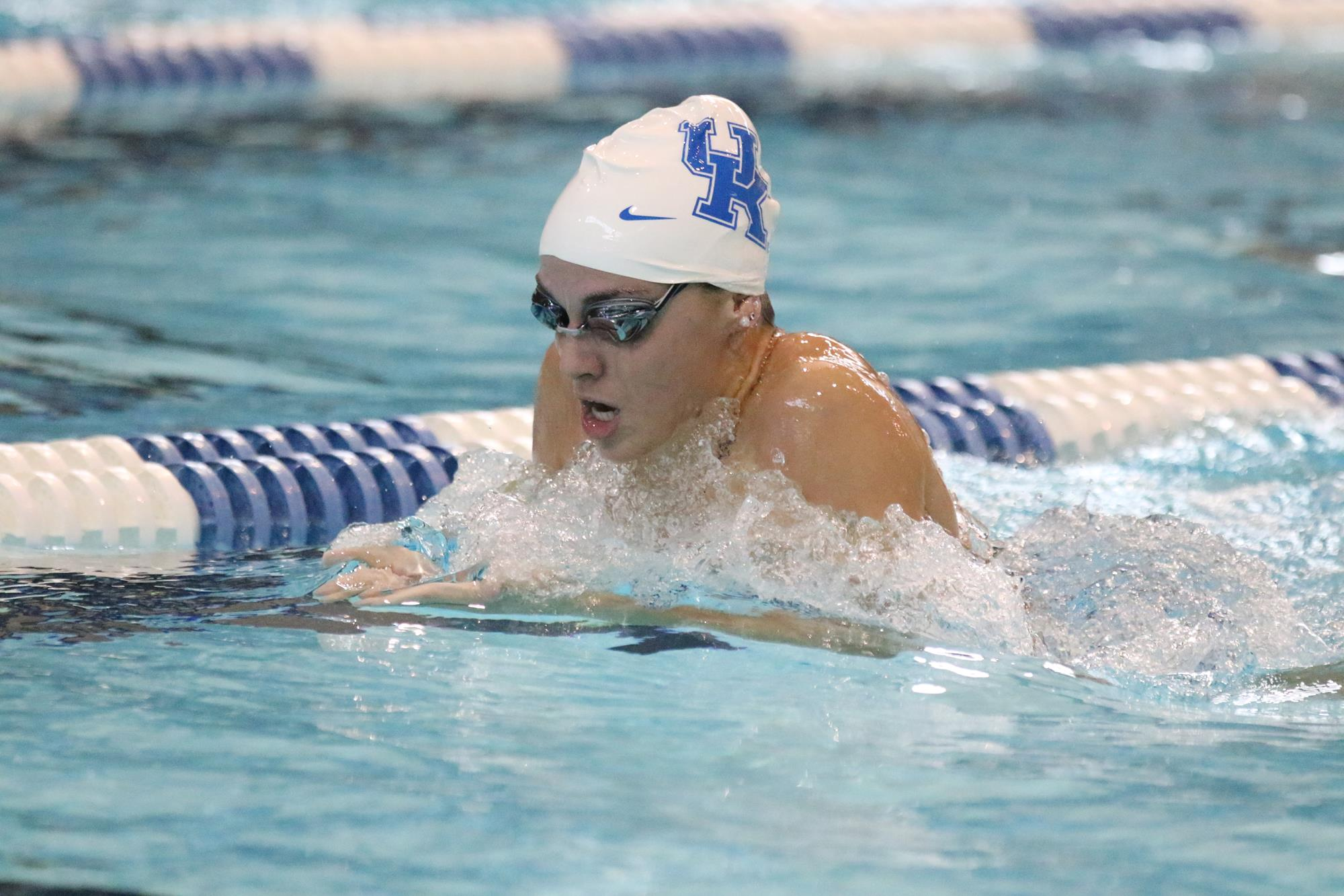 Kentucky Swimming and Diving Ends Fall Term on a High Note