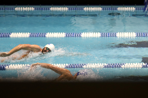 The swimming and diving team competes in their annual Blue-White Intrasquad meet at Lancaster Aquatic Center on Friday, October 5, 2018.

Photo by Quinn Foster I UK Athletics