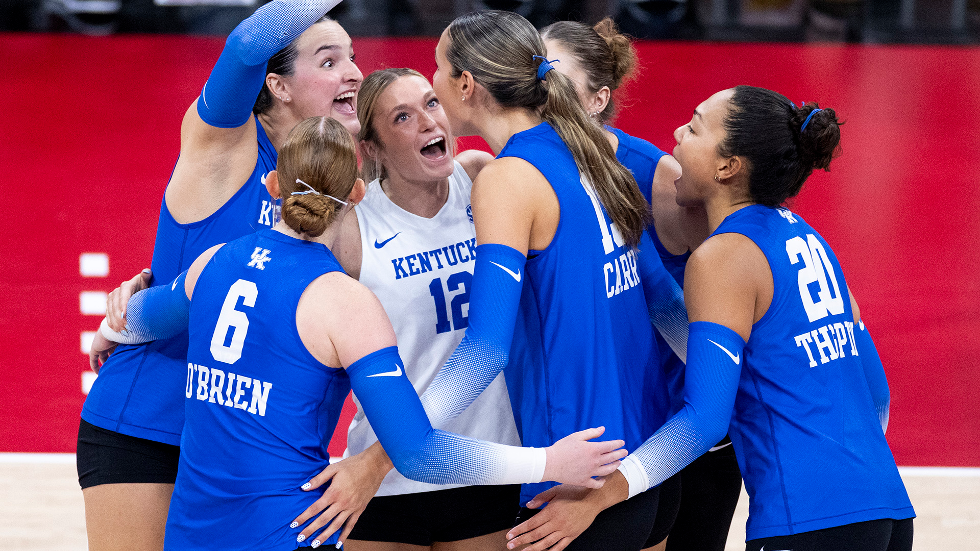 Resilient Cats Overcome Adversity to Beat Cards