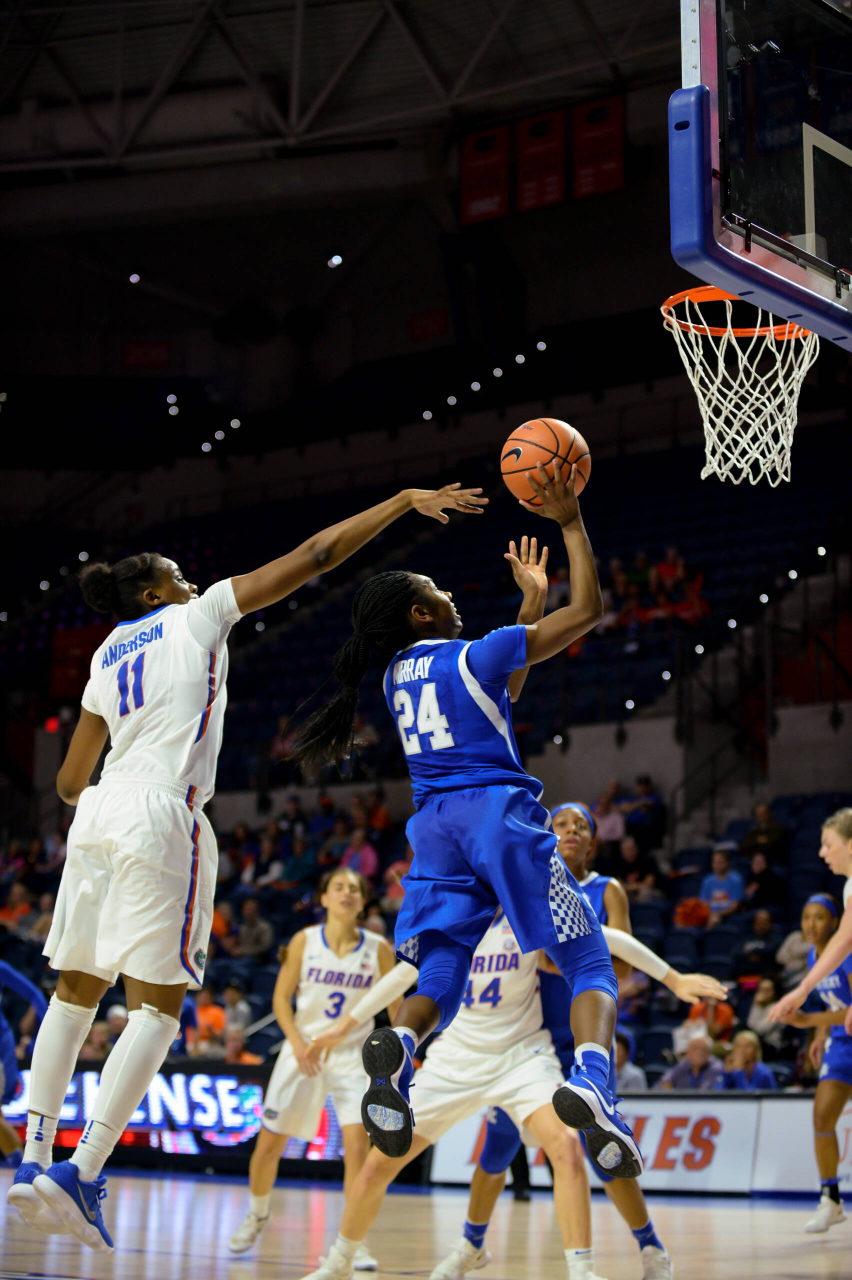 Photo by Julie O'Brien