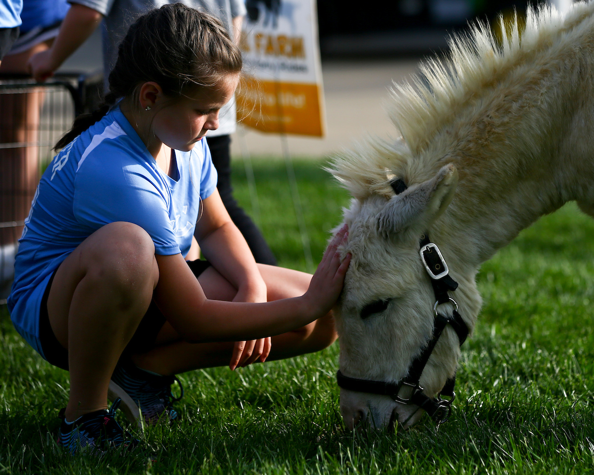 Petting Zoo.

Kentucky loses to Missouri 8-7.

Photo by Grace Bradley | UK Athletics