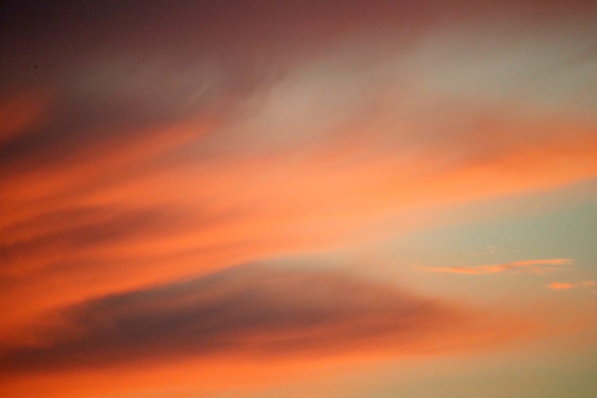 Sky.

Kentucky beats Louisville 3-0.


Photo by Chet White | UK Athletics