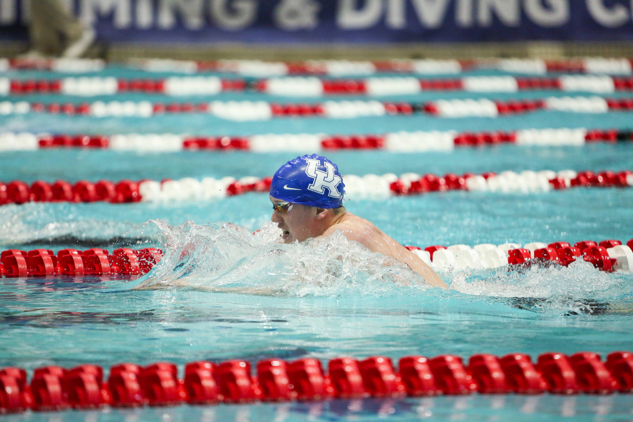 2019 SEC Swimming and Diving Championships