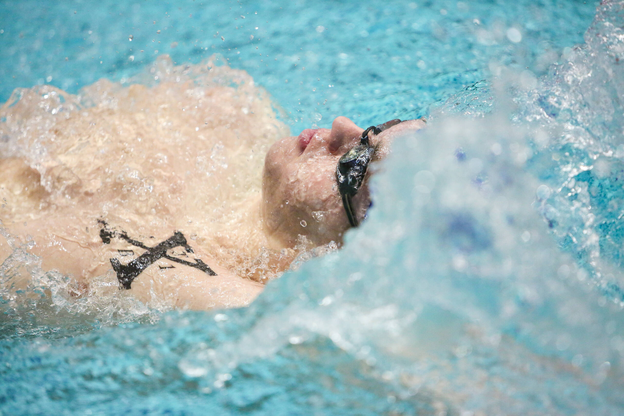 2019 SEC Swimming and Diving Championships