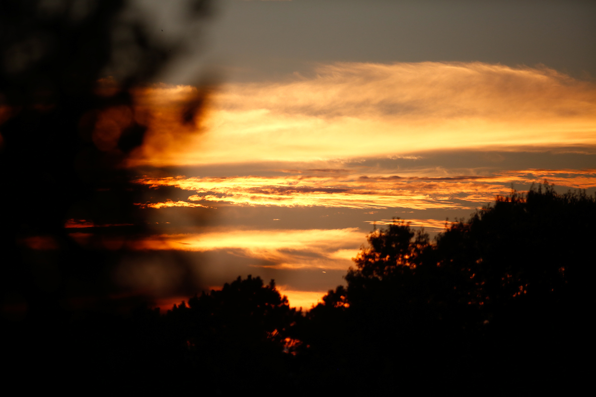 Kentucky men's soccer beat ETSU 3-0.

Photo by Eddie Justice | UK Athletics