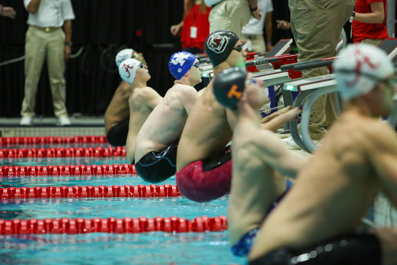 2019 SEC Swimming & Diving Championships