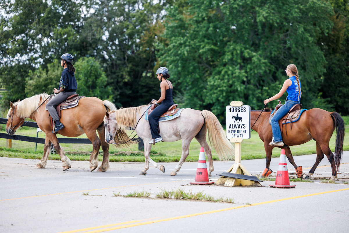 A picture of Kentucky women's basketball players riding horses