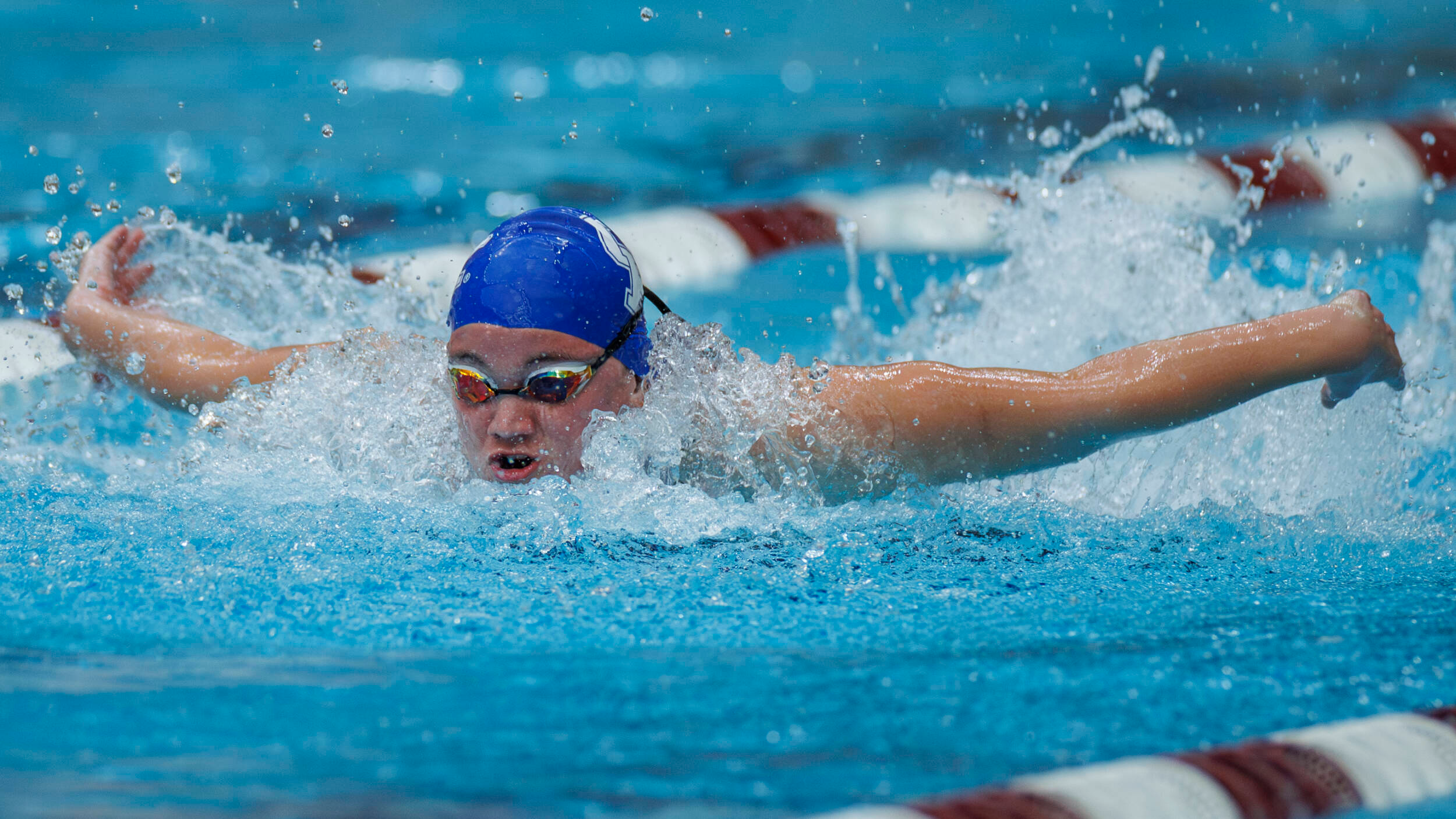 Swimming & Diving Hosts Eastern Michigan on Alumni Weekend