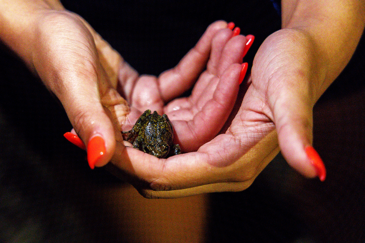 Frog.

Kentucky Women’s Basketball team bonding trip to Fort Campbell.

Photo by Eddie Justice | UK Athletics