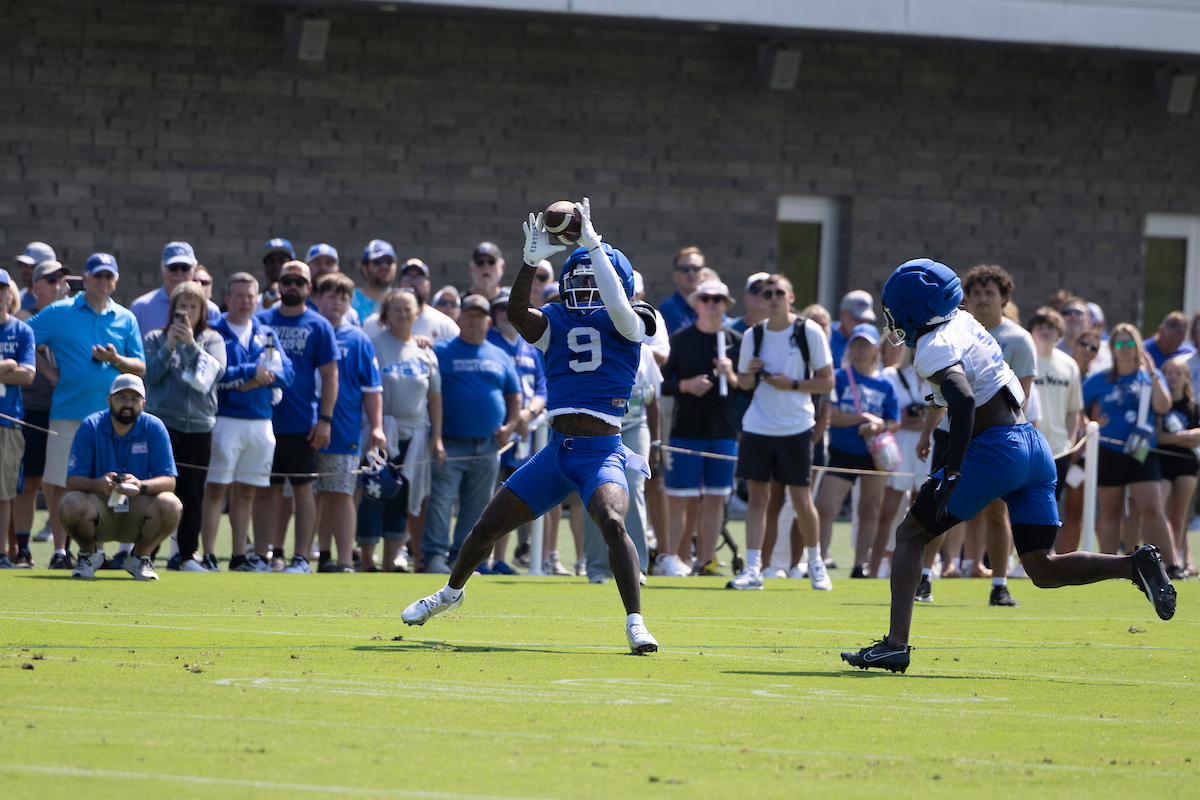Cats Learning from Miscues in Fall Camp