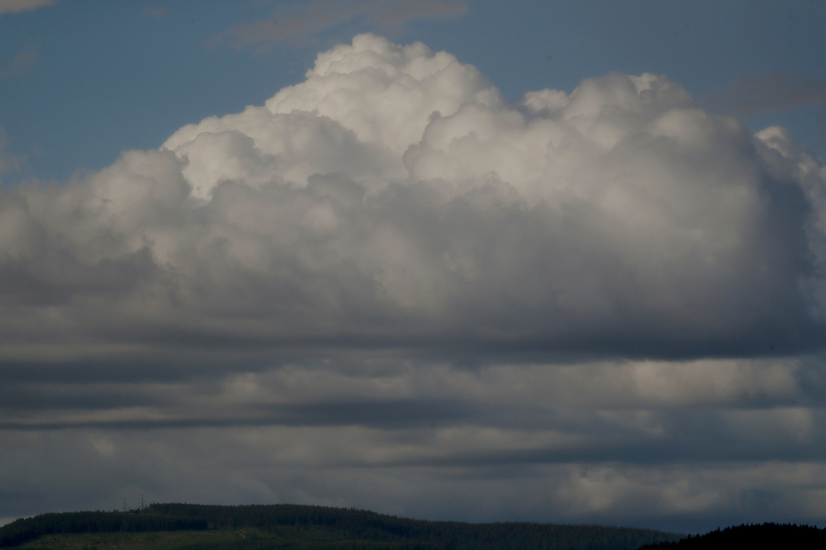 Day 1. 2021 NCAA Track and Field Championships.

Photo by Chet White | UK Athletics