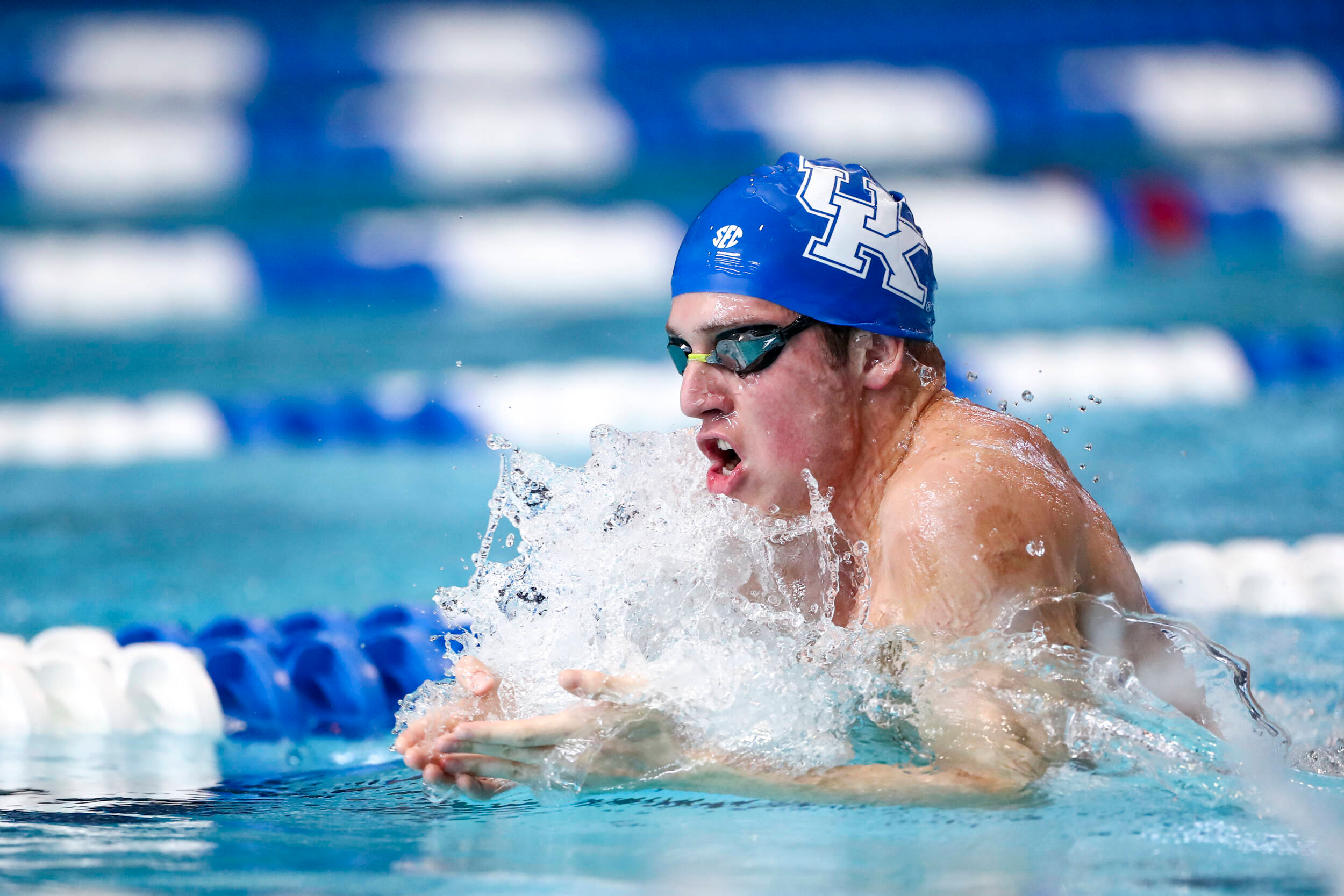 Kentucky Swimming & Diving Beaten on the Road by Texas A&M