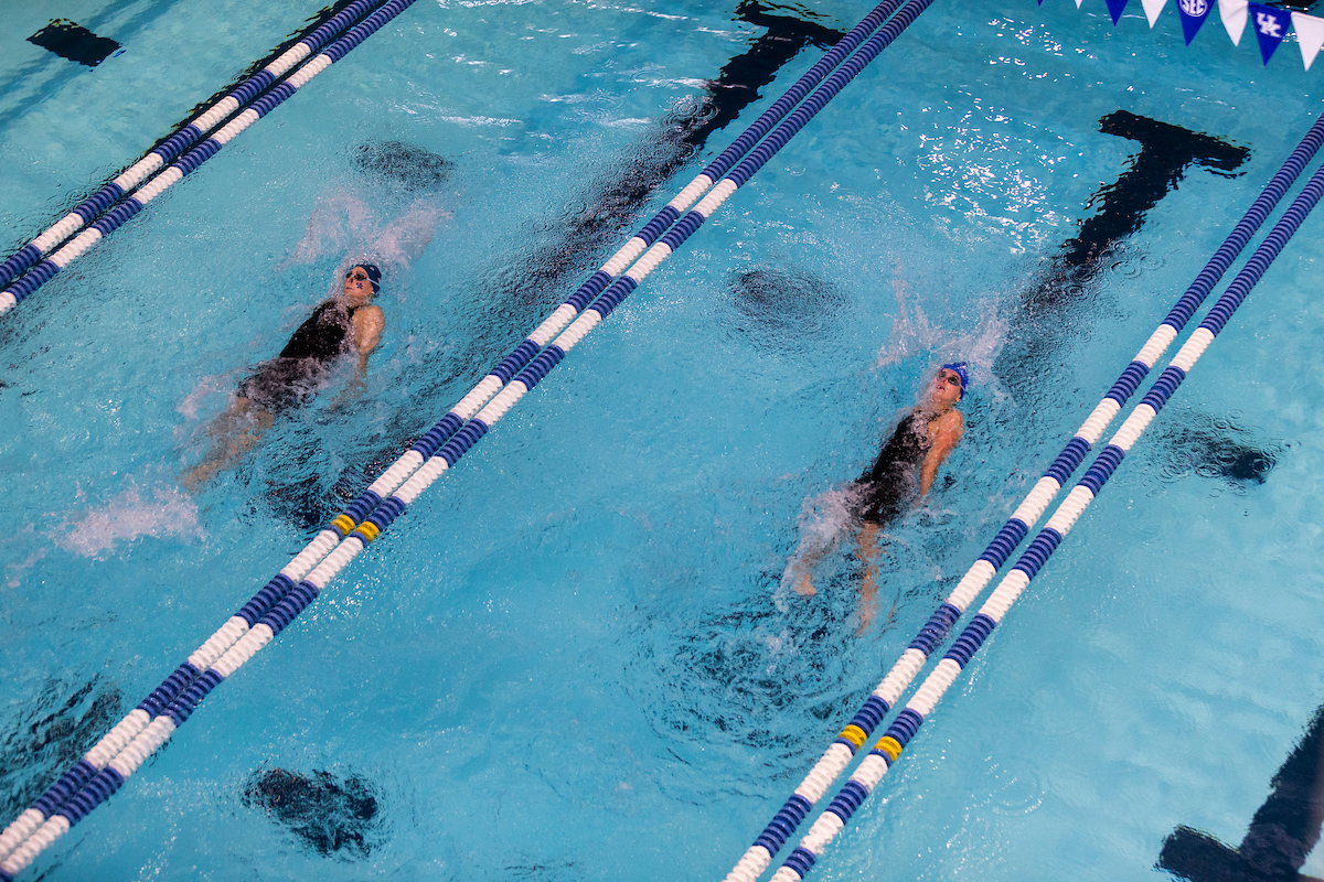 Kentucky Women's Swim/Dive beats Louisville
Kentucky Men's Swim/Dive fall to Louisville.

Photo by Sarah Caputi ?UK Athletics