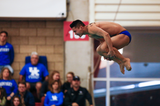 Kentucky Swim & Dive vs. Louisville.

Photo by Hannah Phillips | UK Athletics