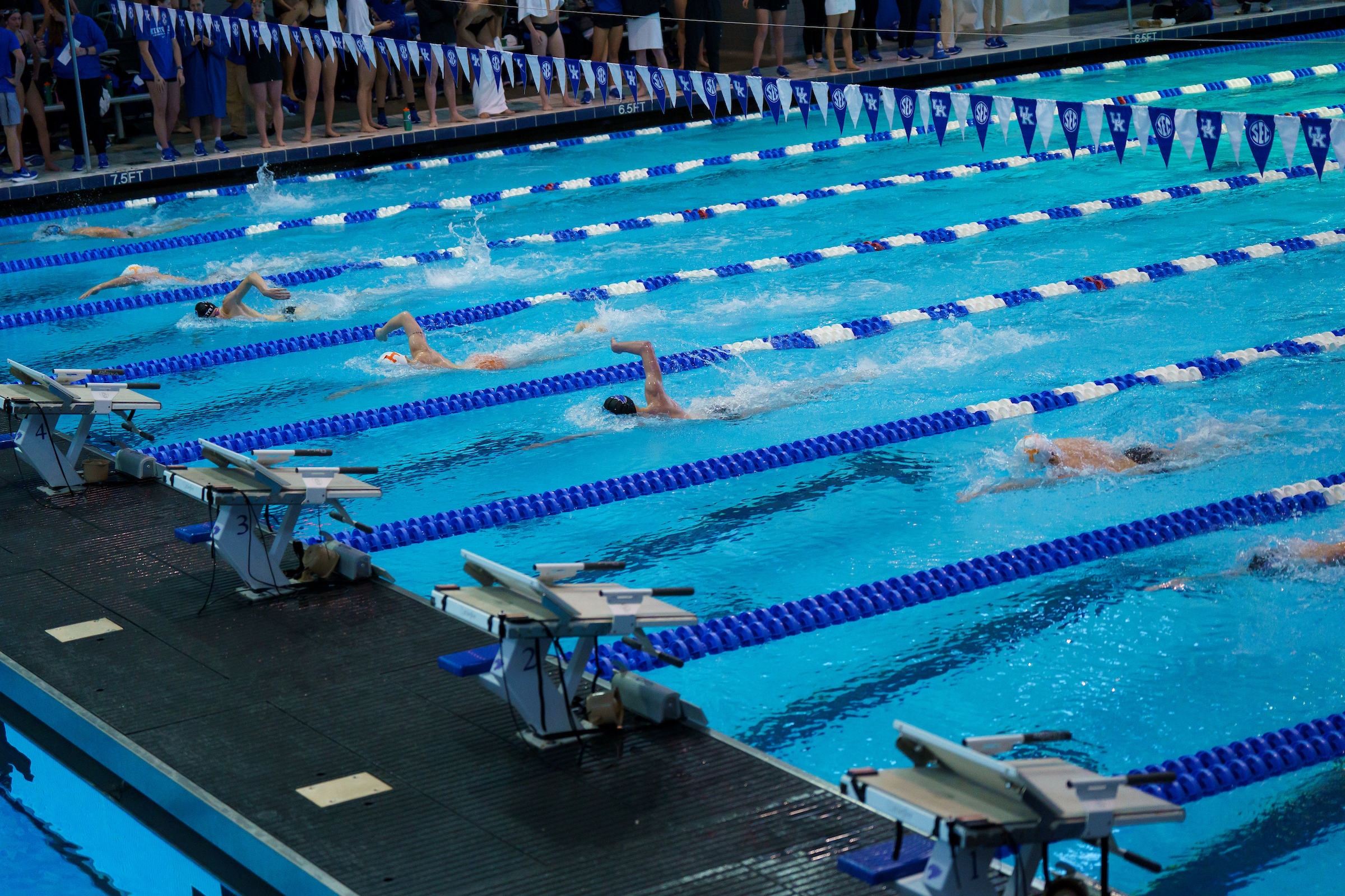 Eight Swim & Dive Cats Named to CSC All-District Team