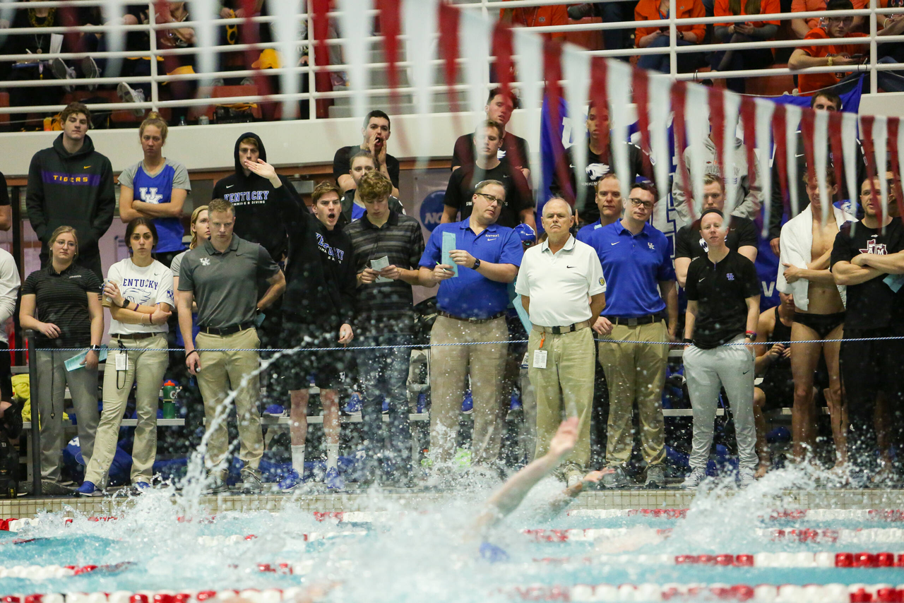 2019 SEC Swimming & Diving Championships