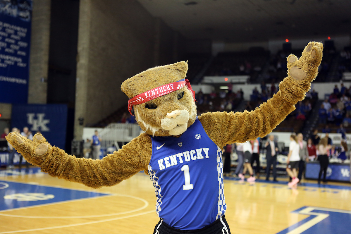 Wildcat

The University of Kentucky women's basketball beat Arkansas on Thursday, February 15, 2018 at Memorial Coliseum.

Photo by Britney Howard | UK Athletics