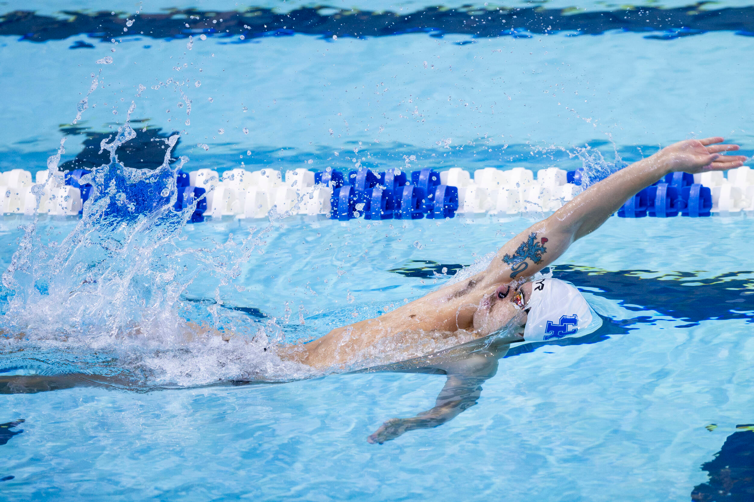 Kentucky Swimming Represented at World Aquatics Would Cup