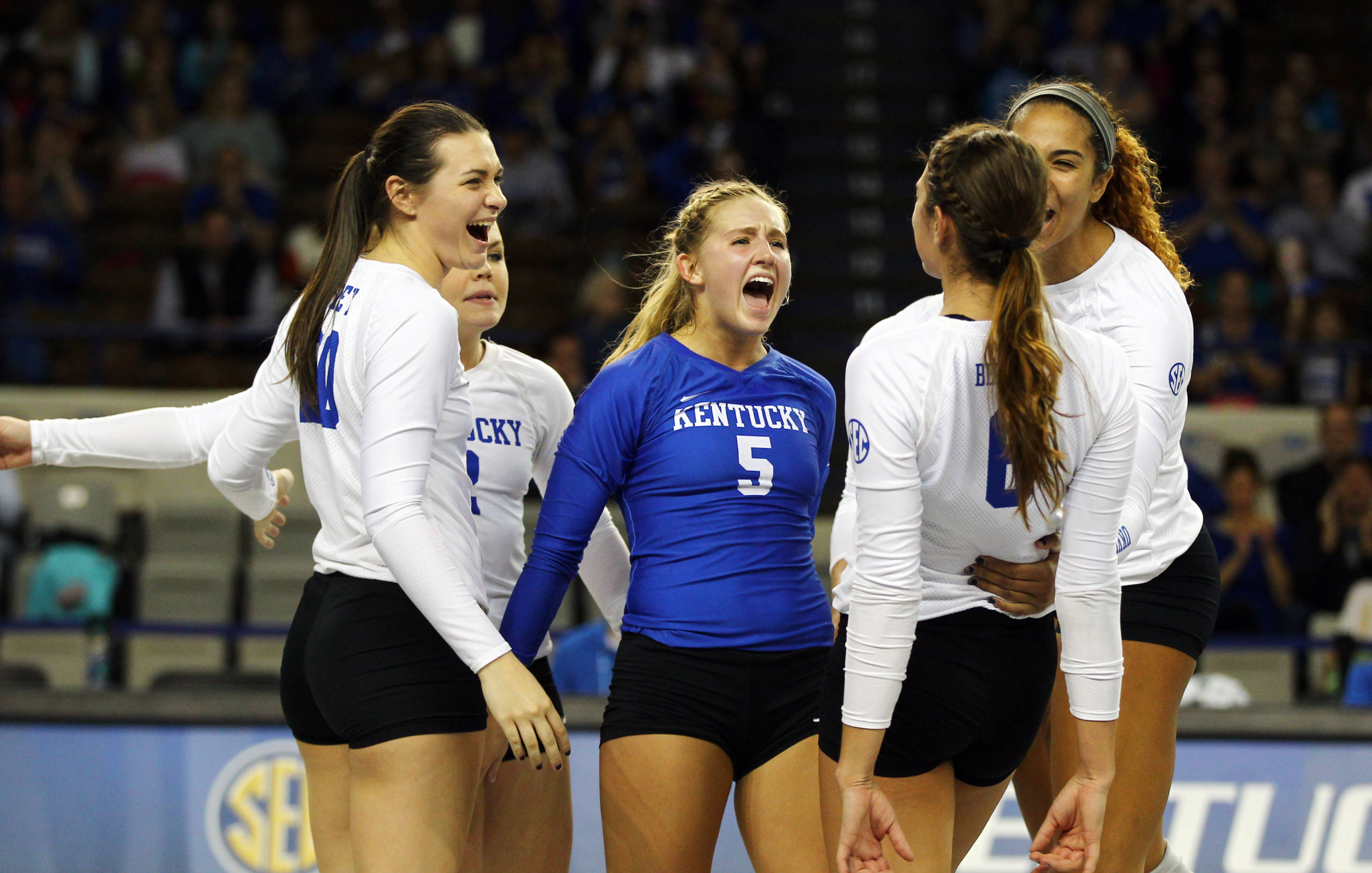 Kentucky Volleyball Announces Spring Schedule