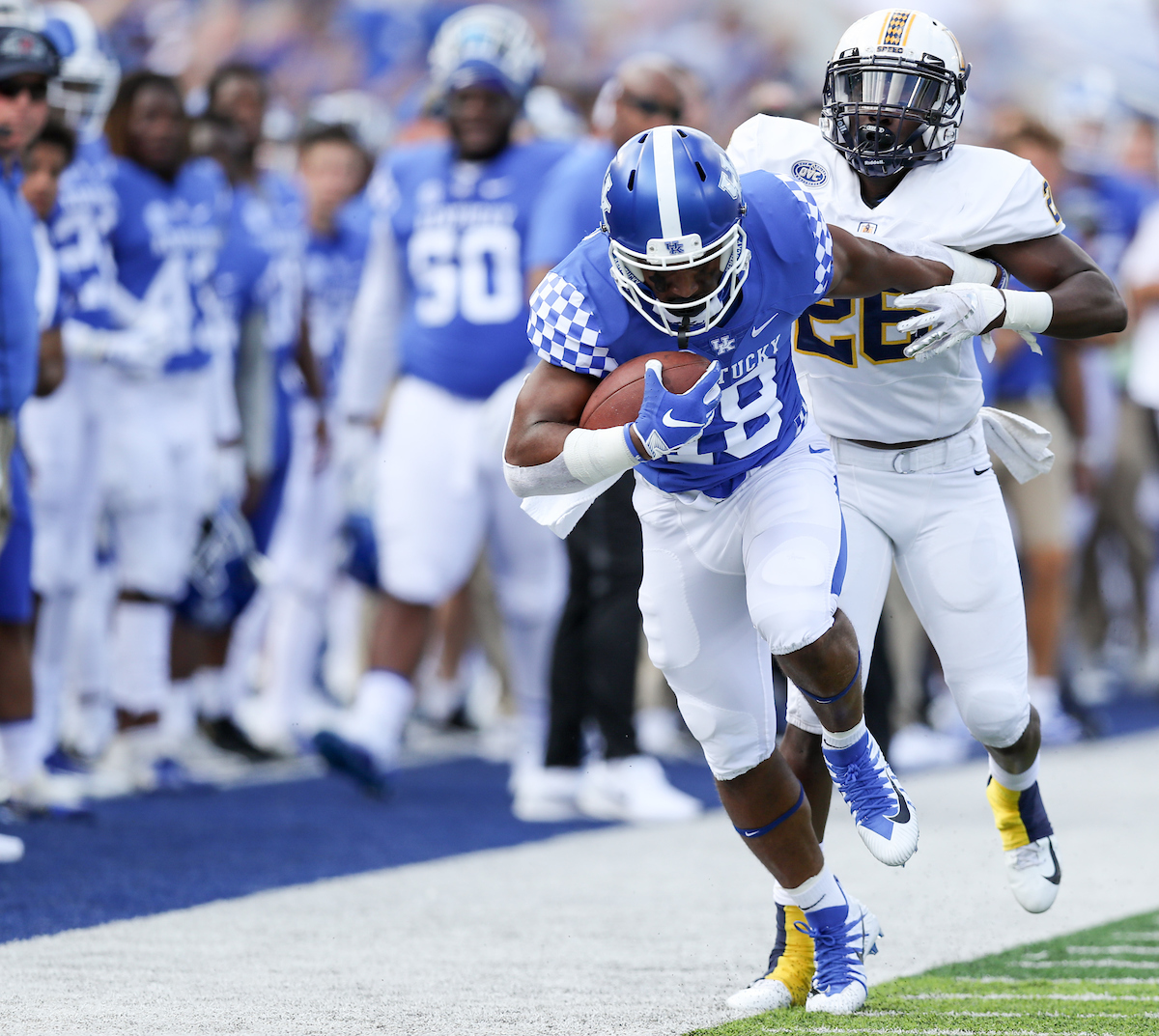 UK football beats Murray State 48-10.


Photo by Elliott Hess | UK Athletics