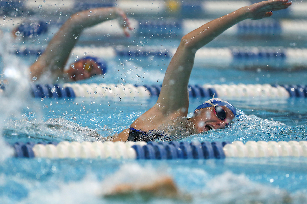 Kentucky Swim and Dive Blue and White meet.

Photo by Grace Bradley | UK Athletics