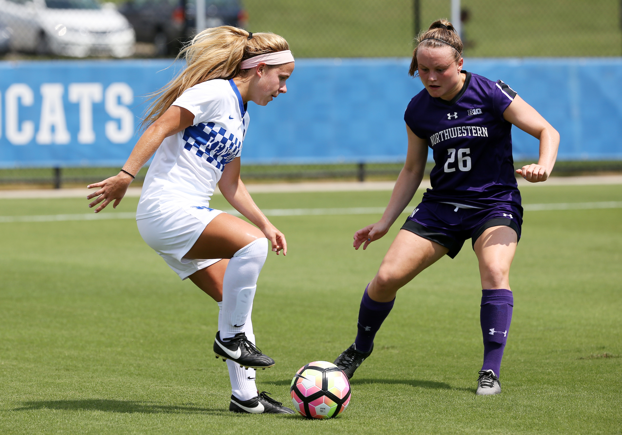 Kentucky vs. Northwestern Halted Due to Rain, Will Not Resume