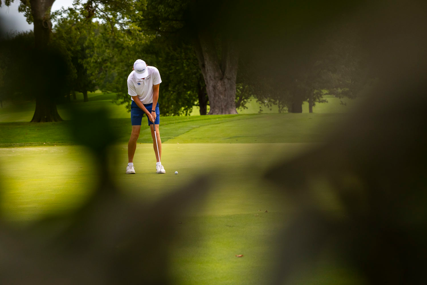 Kentucky Men’s Golf Set for Linger Longer Invitational
