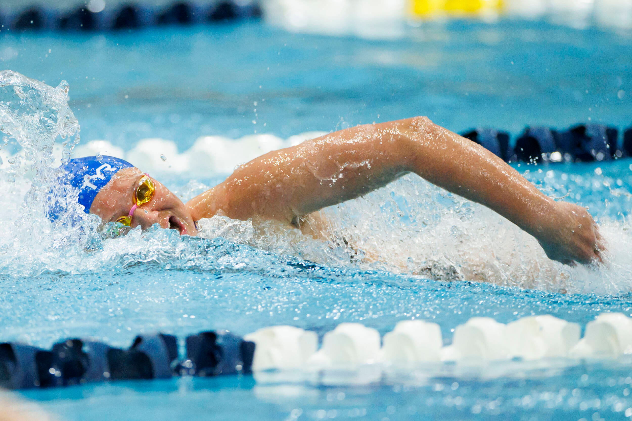 Kentucky Sends 15 Student-Athletes to First Chance Meet