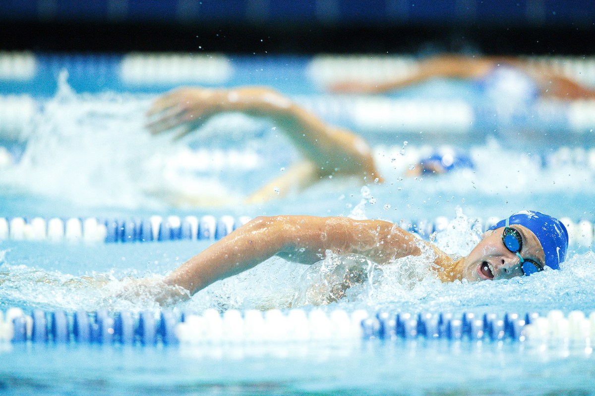 .

Kentucky Swim and Dive Blue and White meet.

Photo by Eddie Justice | UK Athletics