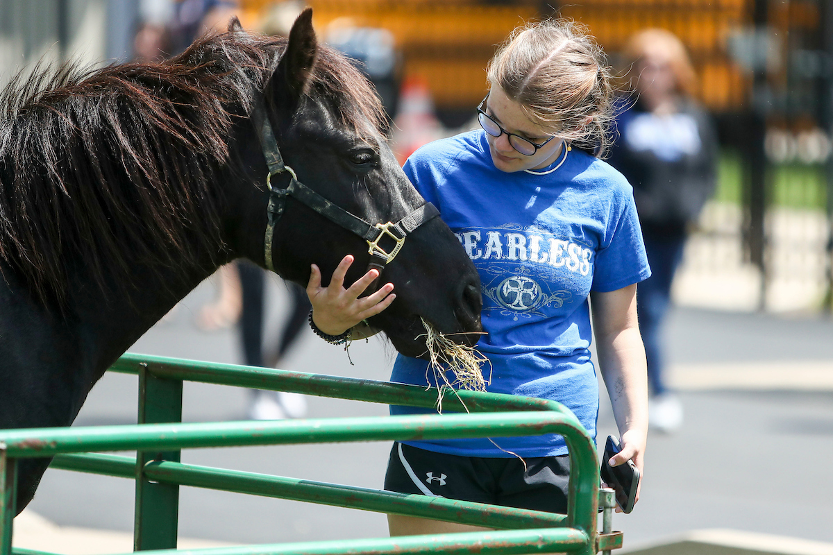 Kentucky defeats Mississippi State 9-5.

Photo by Sarah Caputi | UK Athletics