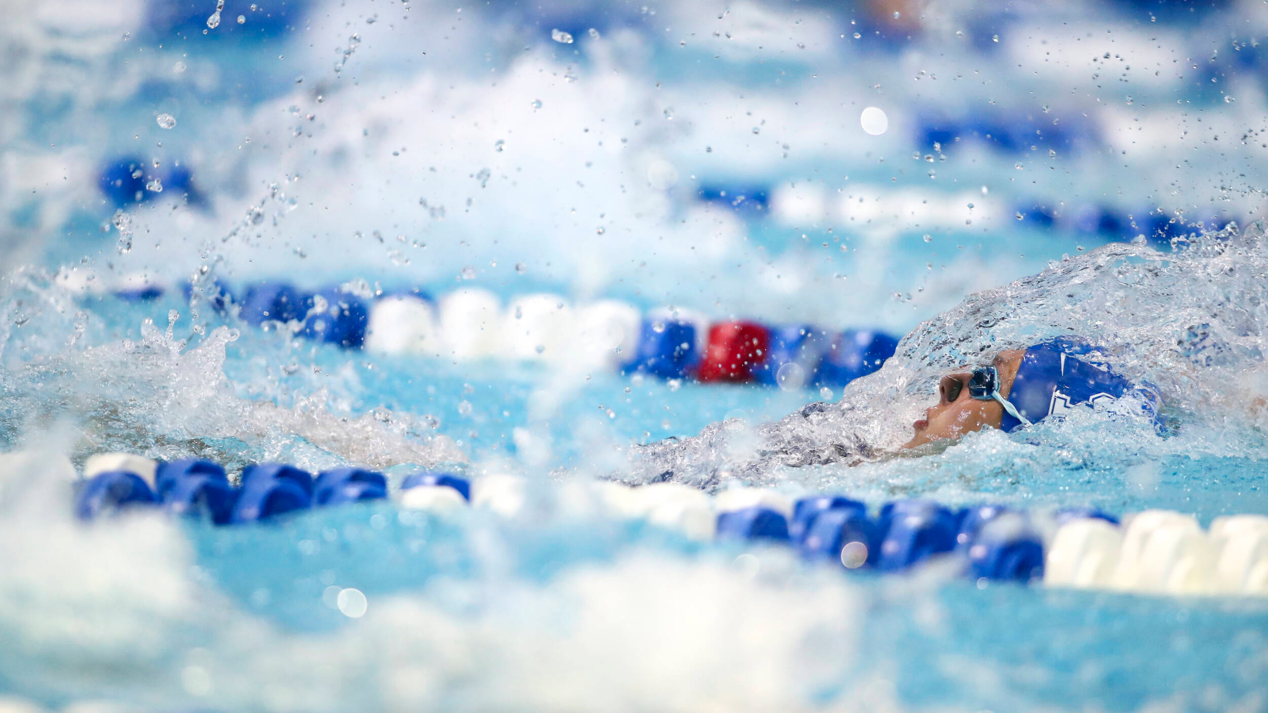 Kentucky to Send Five Swimmers to 2022 Toyota U.S. Open