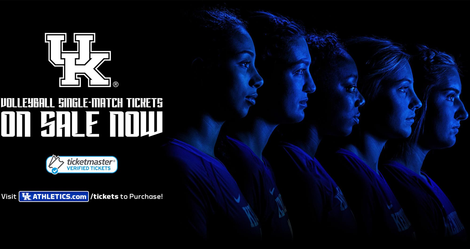 Kentucky Volleyball Single-Match Tickets on Sale Now