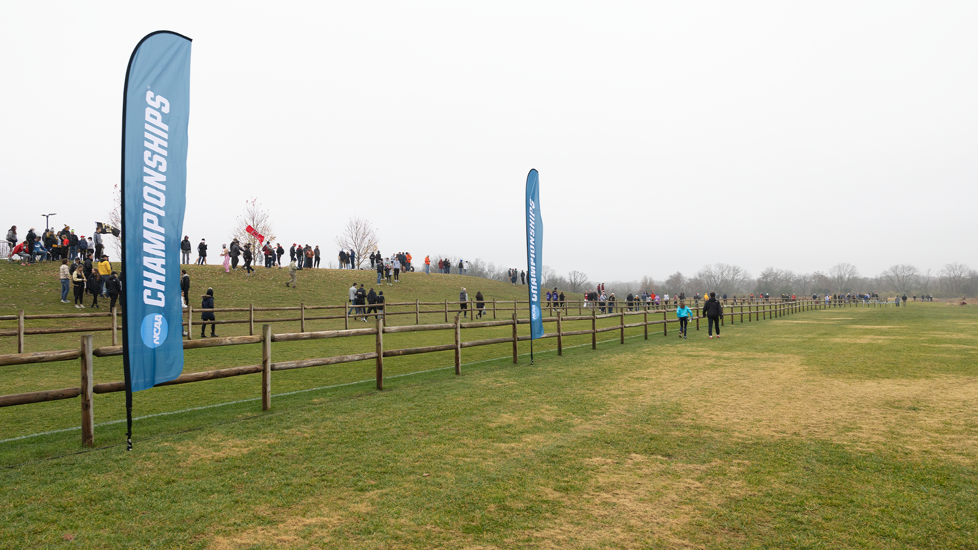 Ed Bird Posts Second Fastest 10K Time in UK History, Wildcats Close out Fall Season at NCAA Championships