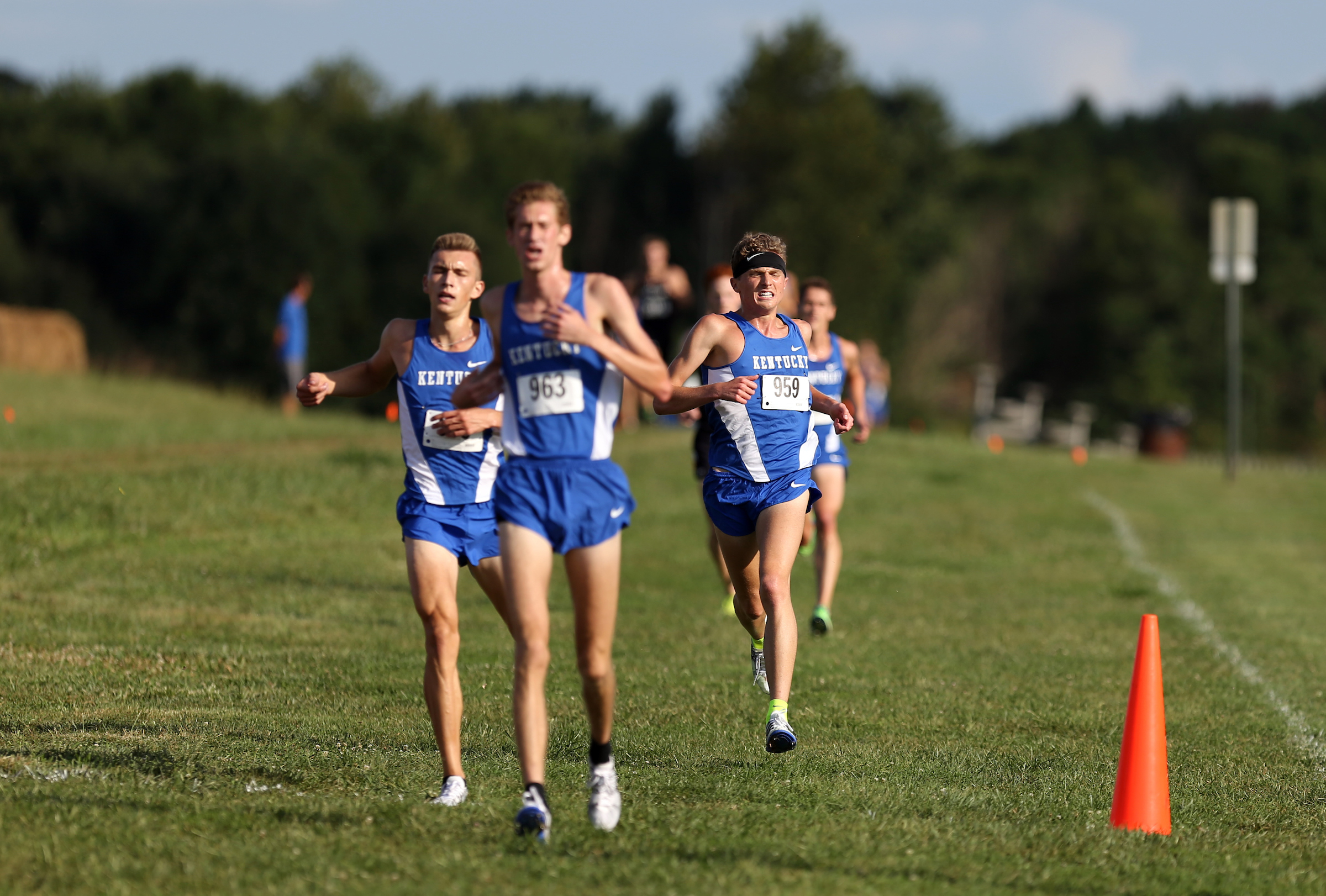 Kentucky Cross Country Set for Southeast Regional Championships
