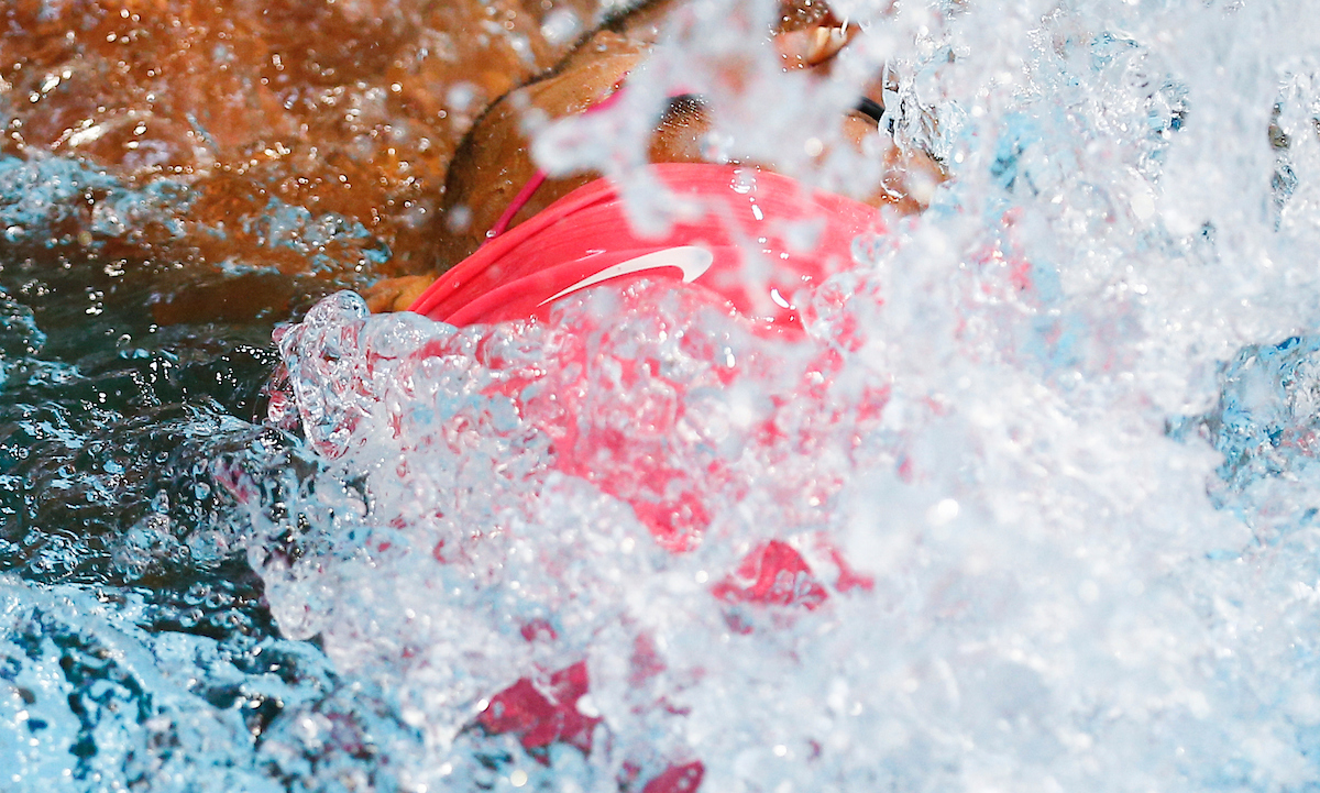 Alex Taylor.

Kentucky Swim & Dive vs. South Carolina & Ohio.

Photo by Isaac Janssen | UK Athletics