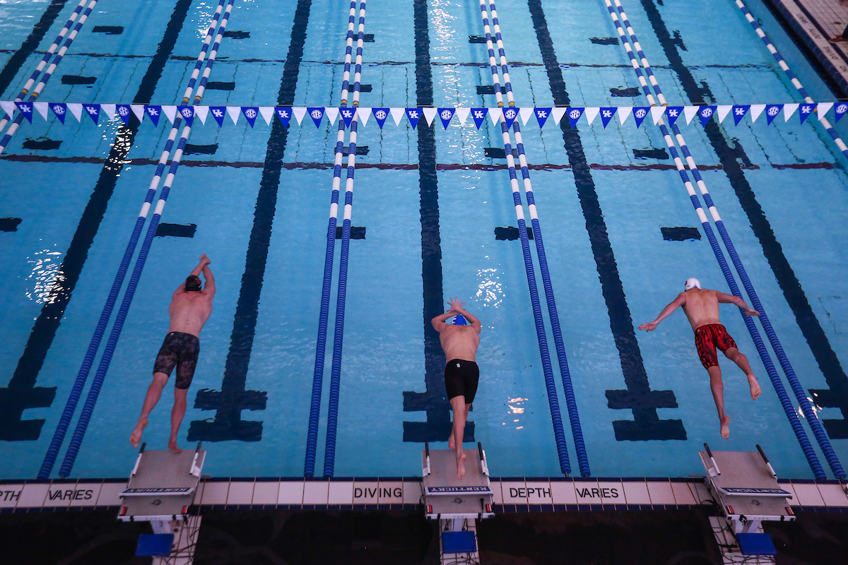 Kentucky Women's Swim/Dive beats Louisville
Kentucky Men's Swim/Dive fall to Louisville.

Photo by Sarah Caputi ?UK Athletics