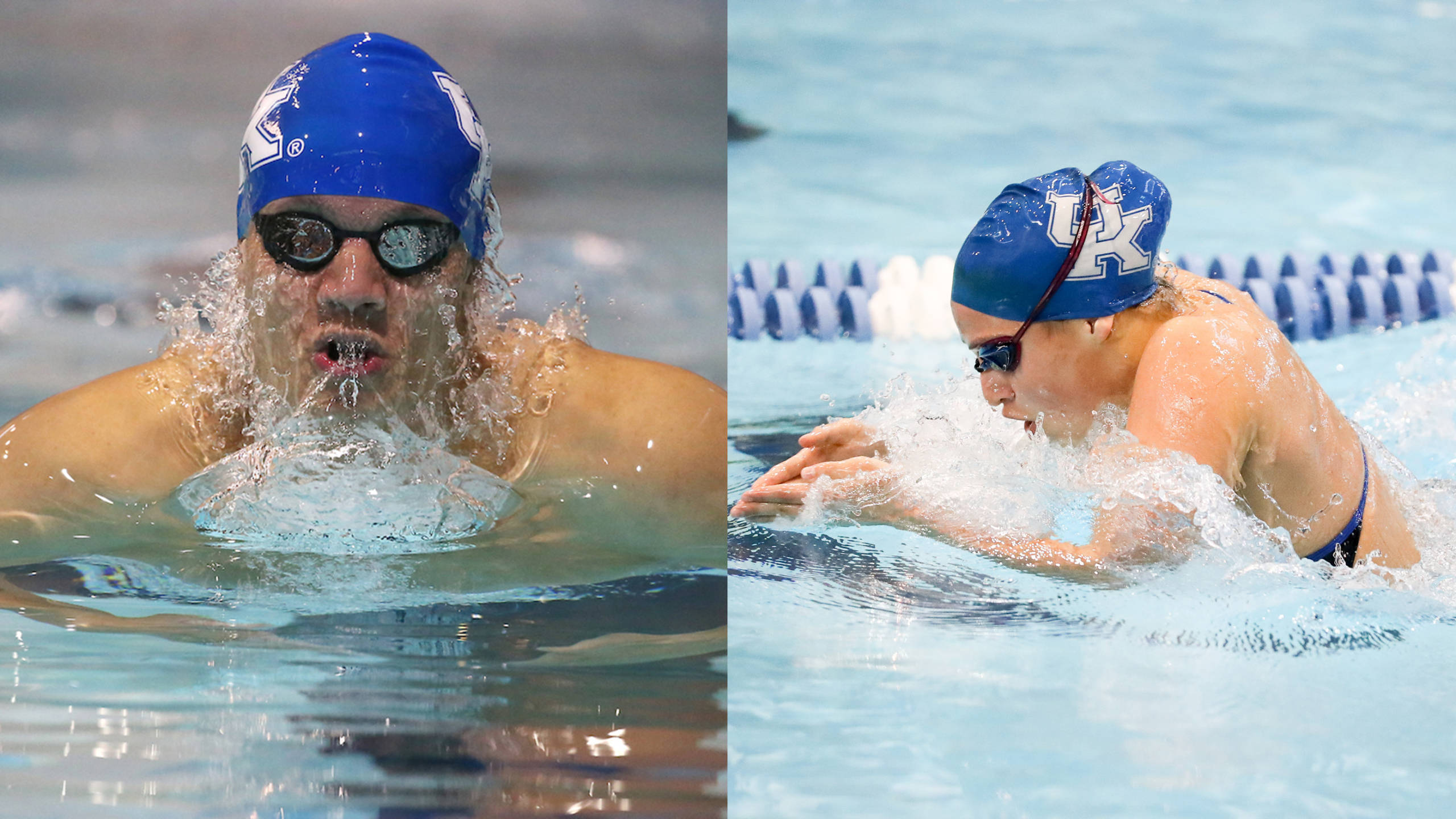 Freshmen Making Immediate Impact for UK Swimming