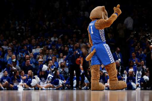 Mascot.

Kentucky men?s basketball defeated Mississippi State 76-55.

Photo by Quinn Foster | UK Athletics