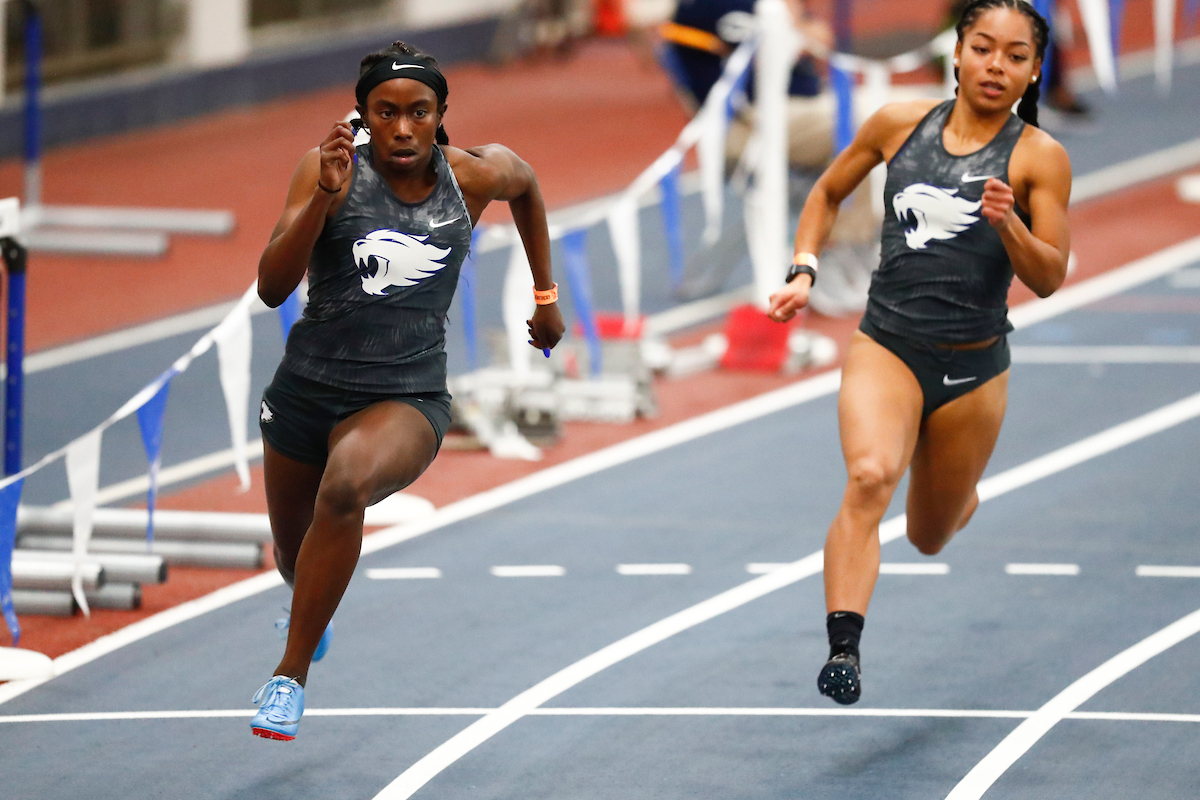 Jim Green Invitational


Photo by Isaac Janssen | UK Athletics