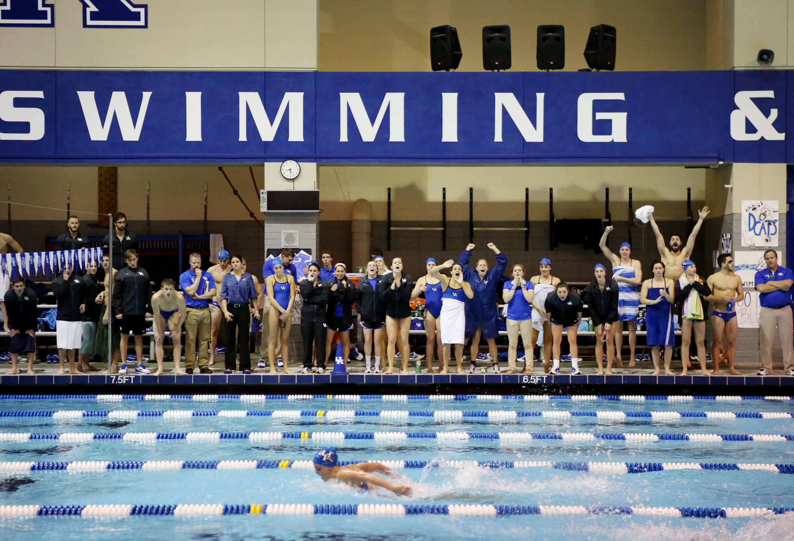 Swimmers to Compete at Sectionals Meet as Lead-In to Nationals