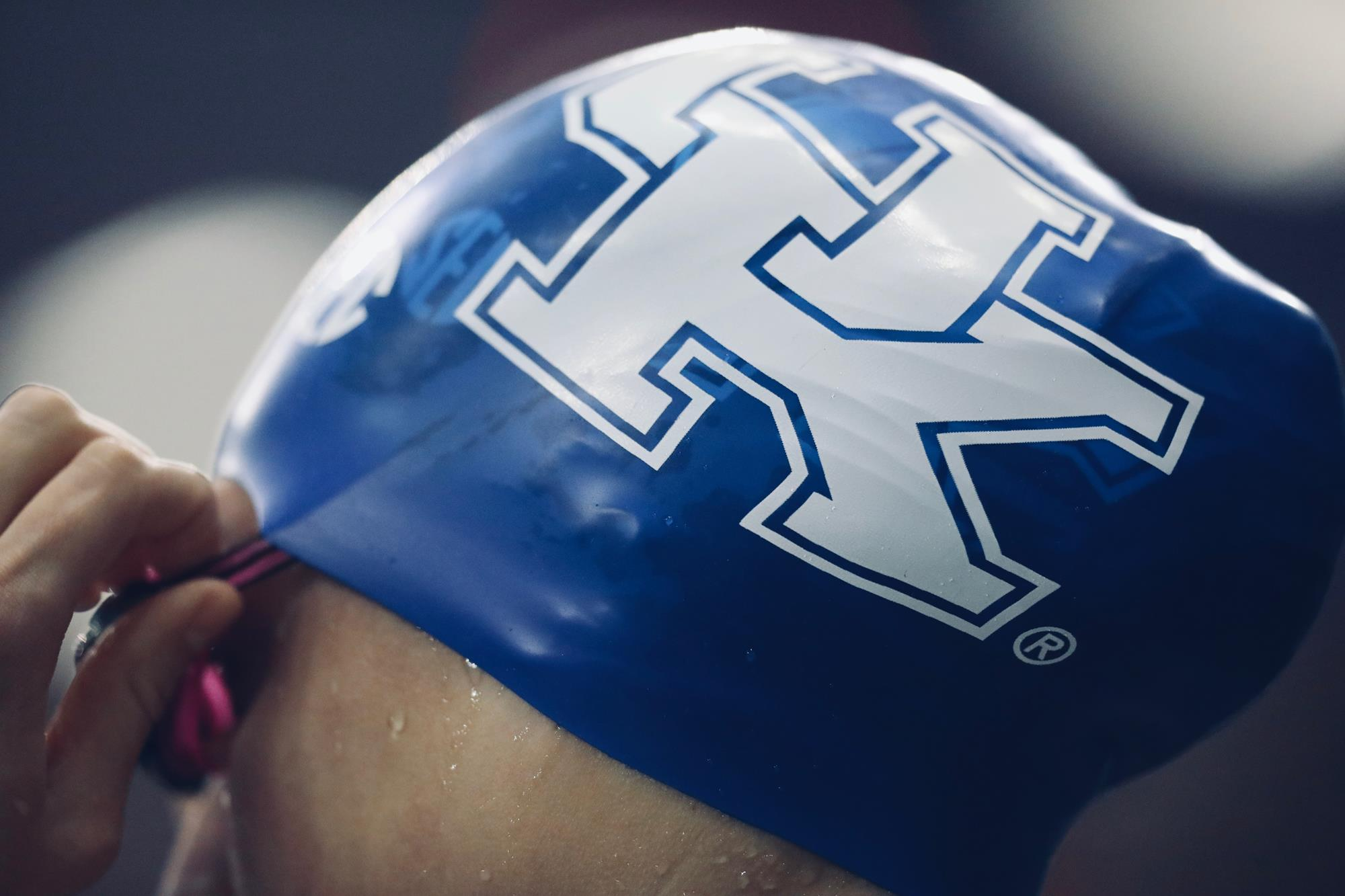 23 Kentucky Swimmers, Divers Determined as 2020 CSCAA All-Americans